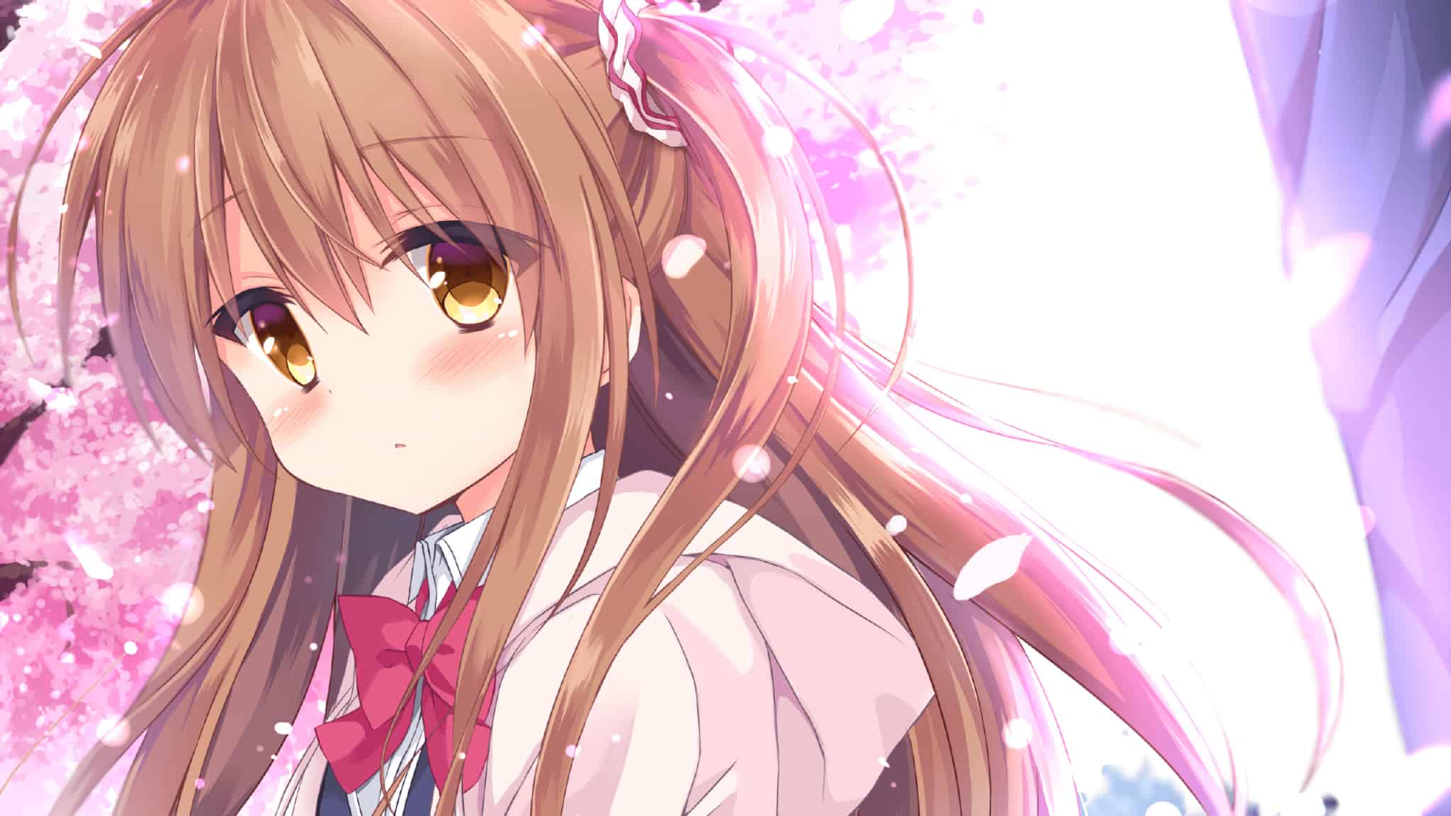 【电脑/3D】妖精搭档～与掌心妖精共度的日常～ フェアリーメイト ～手乗り妖精と過ごす日々～ v1.2 日文生肉版