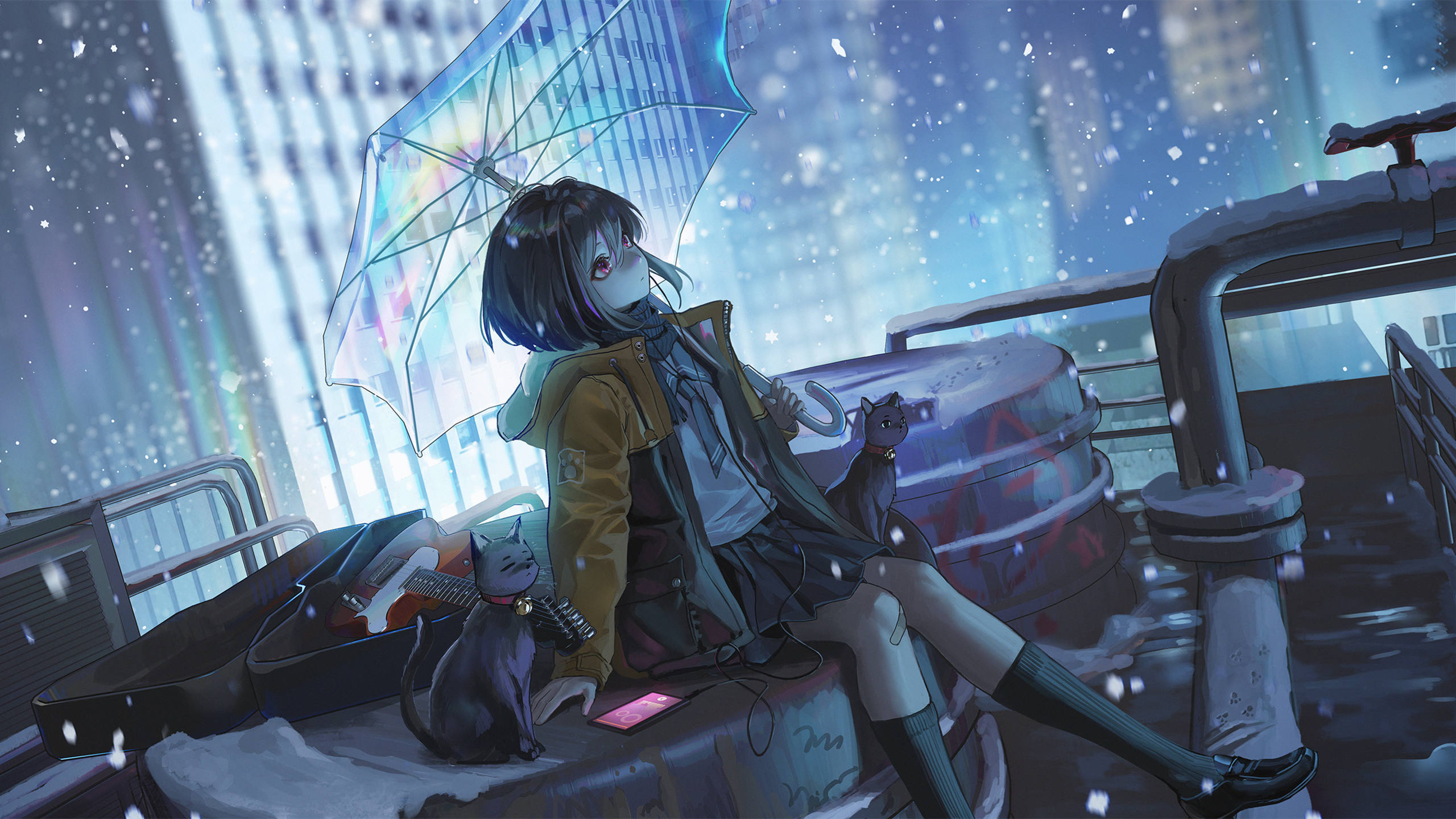 Cover Image of the Post