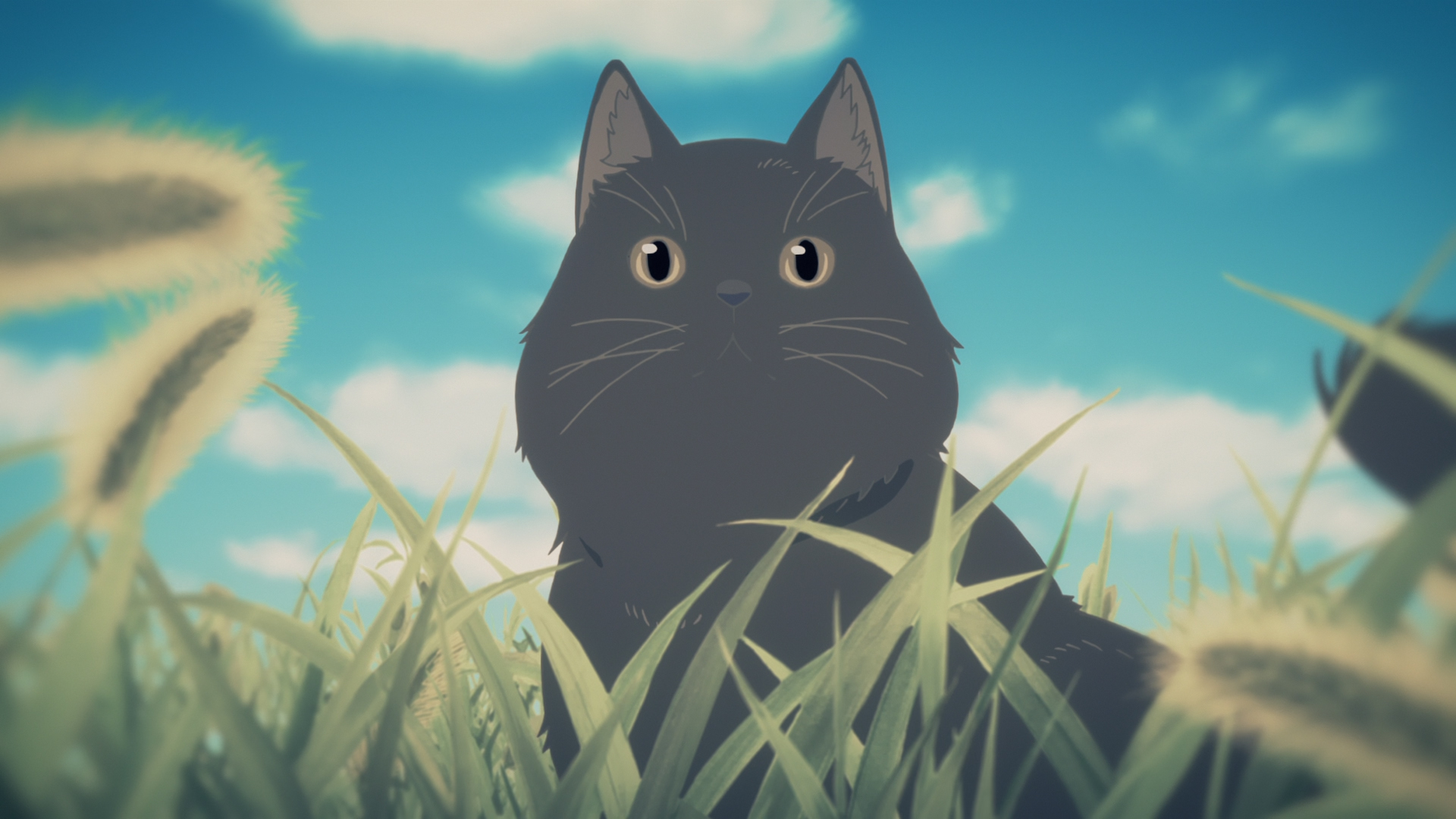 【PC/2D/SLG/汉化】绮罗的银卵人生 V1.05 恋爱养成互动【600MB】