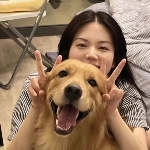 岁梦半尺见