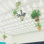 随机头像 10